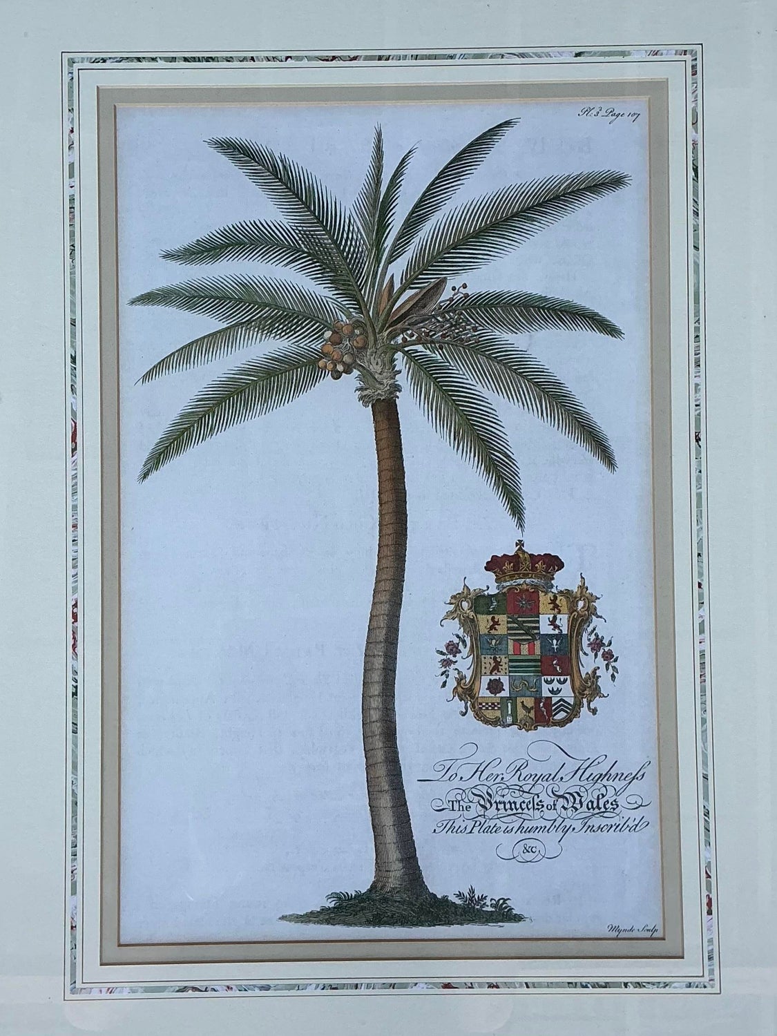 Vintage Crested Palm Etchings - A Pair - Side view