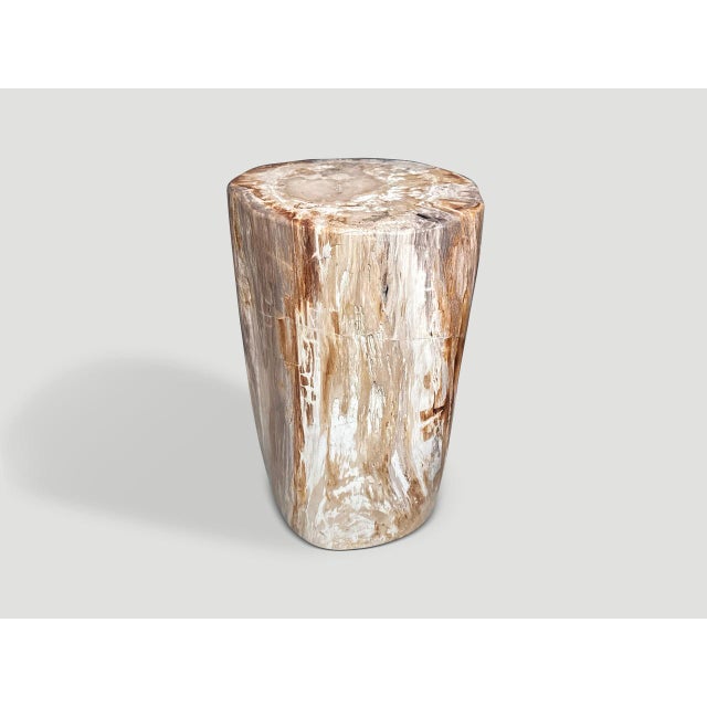 Andrianna Shamaris Coral Toned High Quality Petrified Wood Side Table For Sale In New York - Image 6 of 6