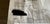 Traditional Lewis and Wood Beech - Widewidth Wallpaper Bluegrass Color For Sale - Image 3 of 10