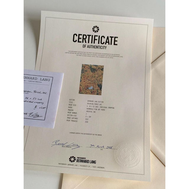 Bavarian_Forest_02" Size a Contemporary Limited Edition Fine Art Photograph by Bernhard Lang For Sale - Image 9 of 10