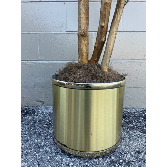Vintage Curtis Jere Sculptural Brass & Wood Tree For Sale In Tampa - Image 6 of 11