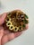 Metal Vintage Signed Capri Demi-Parure – Multi-Layer Rhinestone Floral Dome Brooch/Pendant & Matching Hinged Cuff Bracelet For Sale - Image 7 of 12