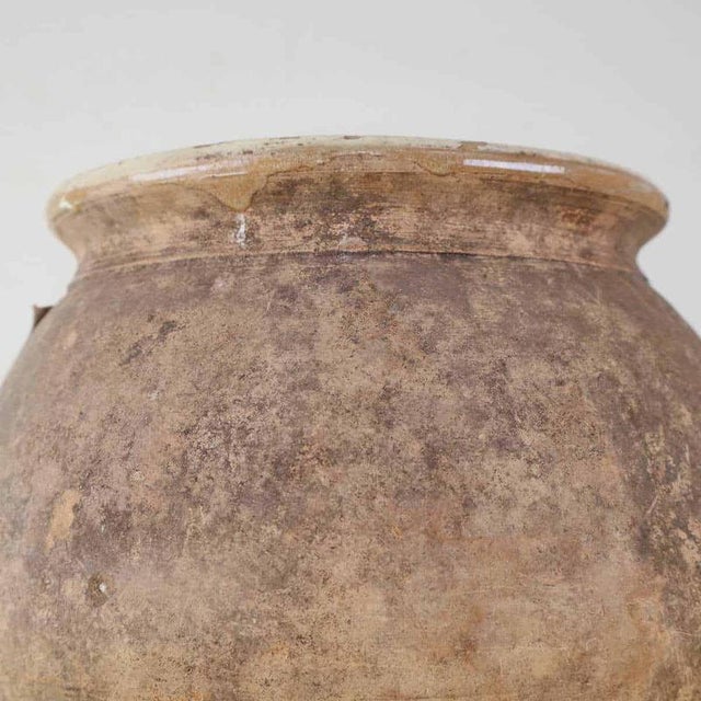 Amphora Vase in Glazed Terracotta Inside For Sale - Image 3 of 9