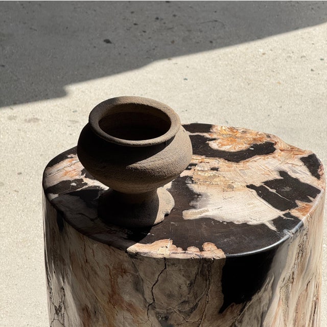 Side Table in Petrified Wood with Black Spots, 1980s For Sale - Image 14 of 18