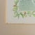 Cedar Waxing Birds Giclee Print Tamlyn Akins Soft Pastel Colors Mat Framed 13x17 For Sale - Image 12 of 16