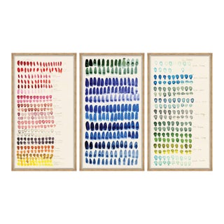 Swatch - Rose, Blue and Green by Susan Hable For Sale