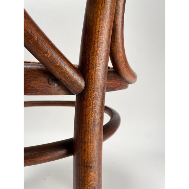 Austrian Bent Beech Chairs, 1890s, Set of 4 For Sale - Image 6 of 8