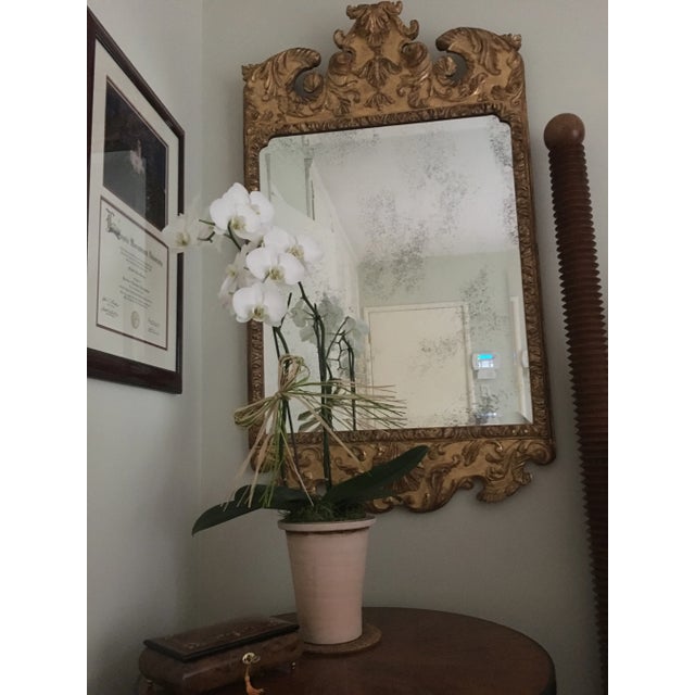 Add a little old world elegance to your life with this mirror. A reproduction in the style of George II, carved out of...