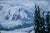 "Mt. Rainier Paradise" Contemporary Winter Landscape Oil Painting For Sale - Image 4 of 12