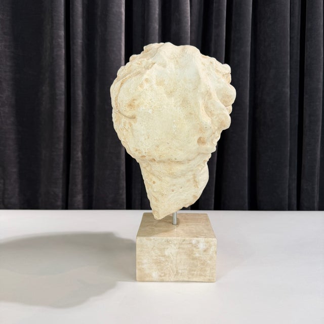 Neoclassical 1970s Neoclassical Greek Goddess Bust Fragment Sculpture- Stone Base For Sale - Image 3 of 6