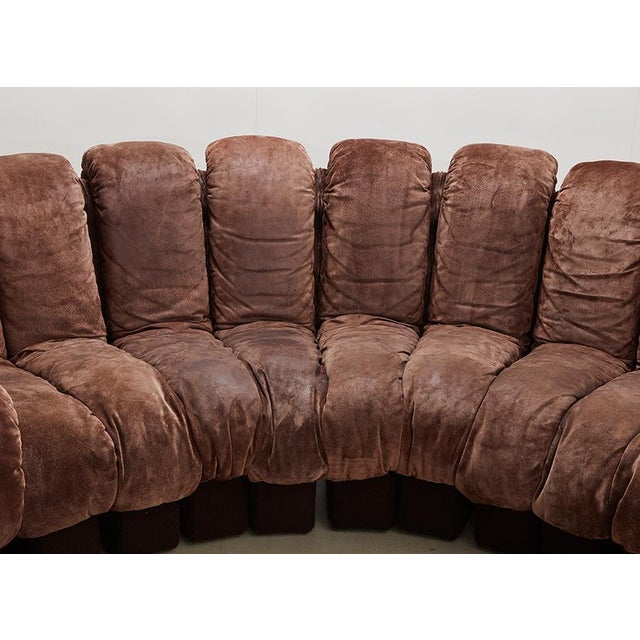 Brown DS-600 Snake Sofa by Ueli Berger for de Sede, Switzerland, 1970s, Set of 22 For Sale - Image 8 of 15