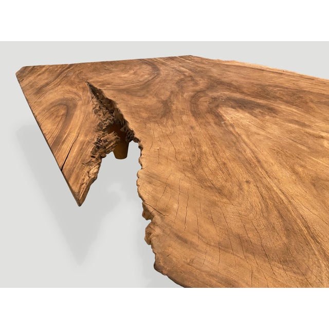 Andrianna Shamaris Massive Single Slab Suar Wood Live Edge Coffee Table For Sale - Image 12 of 18
