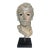 Mid 20th Century Ancient Style Greek Neoclassical Bronze Bust For Sale