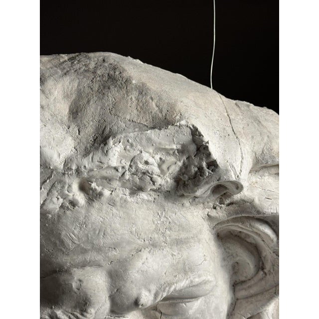 Unknown, Zeus Head, Plaster For Sale - Image 13 of 18