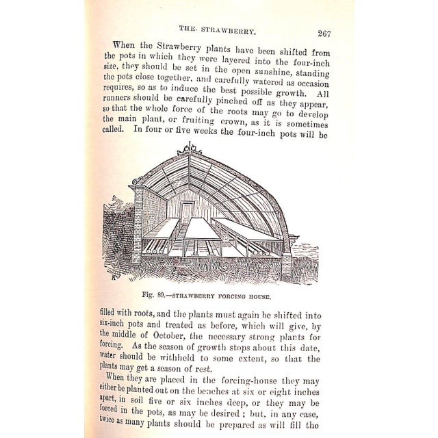 1910s "Gardening for Pleasure" 1918 Henderson, Peter For Sale - Image 5 of 10