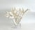 A stunning specimen of natural Branch Coral mounted on a 6" x 6" x 2" polished acrylic base. This piece has been cut and...