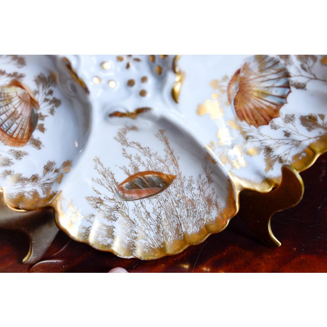 Limoges, France Antique Limoges T v Oyster Plate, Jones McDuffee & Stratton, Hand-Painted Shells, C. 1892-1907 For Sale - Image 4 of 10
