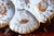 Limoges, France Antique Limoges T v Oyster Plate, Jones McDuffee & Stratton, Hand-Painted Shells, C. 1892-1907 For Sale - Image 4 of 10