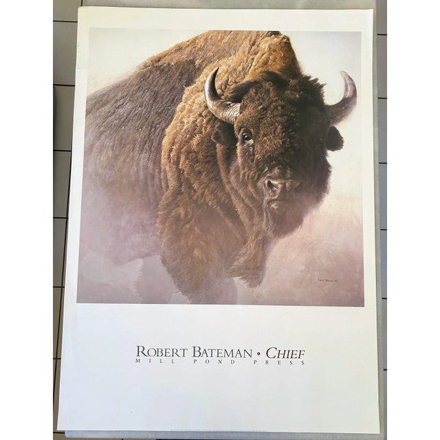 Vintage Bison Study Poster by Robert Bateman 1997 For Sale In Denver - Image 6 of 10