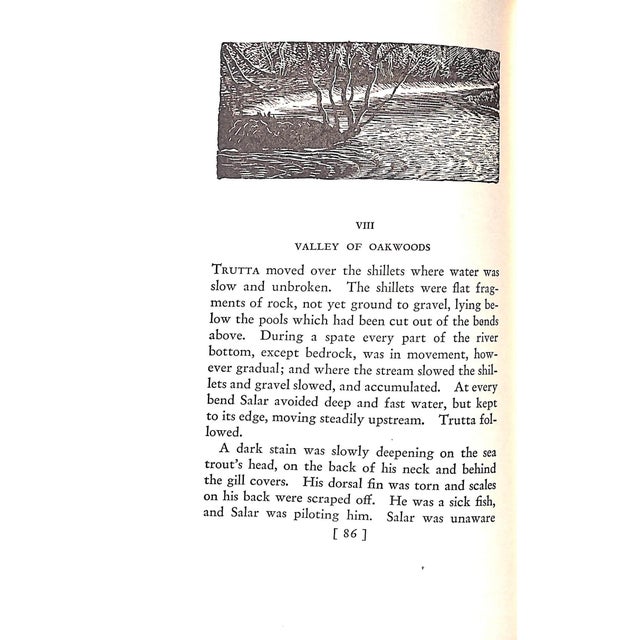 White "Salar the Salmon" Book 1936 Williamson, Henry For Sale - Image 8 of 10