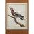 Late 18th Century Birds: Antique Copperplate Engravings of by François Martinet - Set of Four For Sale - Image 5 of 14