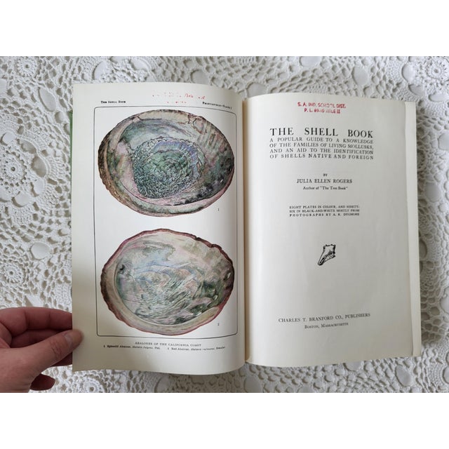 The Shell Book by Julia Ellen Rogers, 1936 For Sale In Baltimore - Image 6 of 12
