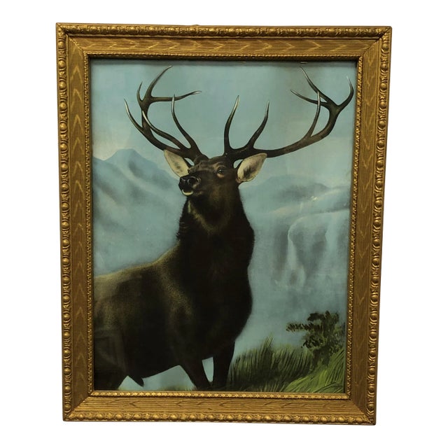 The Elk - Early 20th Century Original Oil Painting, Framed For Sale