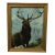 The Elk - Early 20th Century Original Oil Painting, Framed For Sale