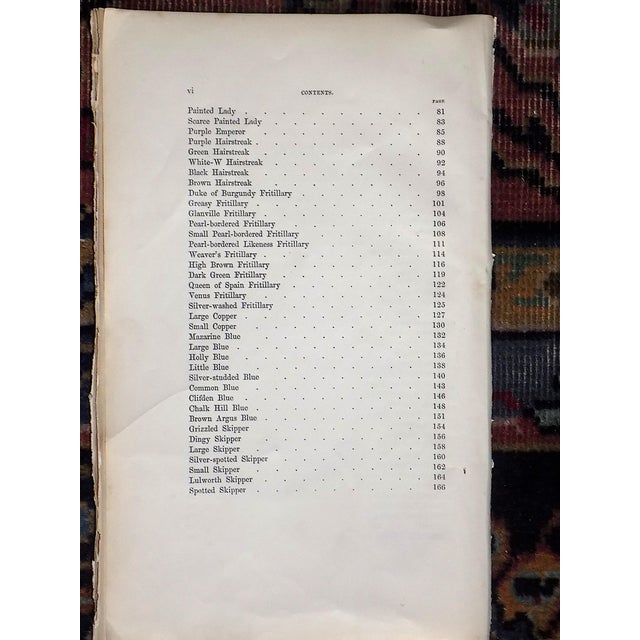 Antique 19th Century Hand Colored Butterfly Lithographs - Set of 12 For Sale - Image 11 of 12