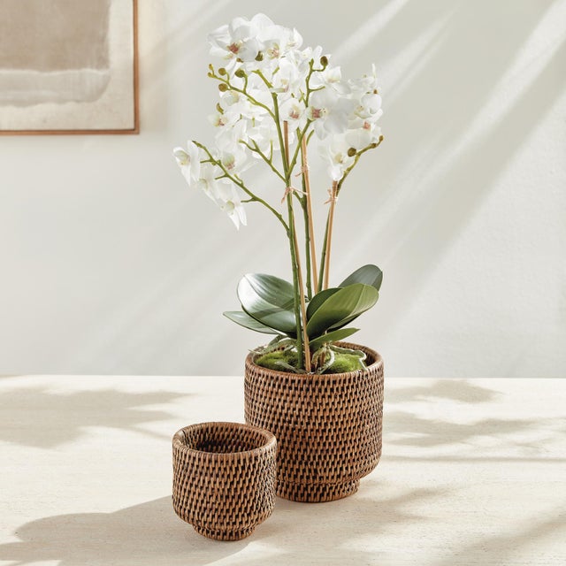 Kenneth Ludwig Chicago Burma Rattan Cachepots Small, Set Of 2 For Sale - Image 4 of 6