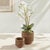 Kenneth Ludwig Chicago Burma Rattan Cachepots Small, Set Of 2 For Sale - Image 4 of 6