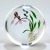 Glass Chris Buzzini Artist-Proof Orchid Flower and Roots Art Glass Paperweight For Sale - Image 7 of 13