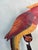 Vintage Folk Art Parrot Balancing Kinetic Sculpture For Sale In Los Angeles - Image 6 of 7