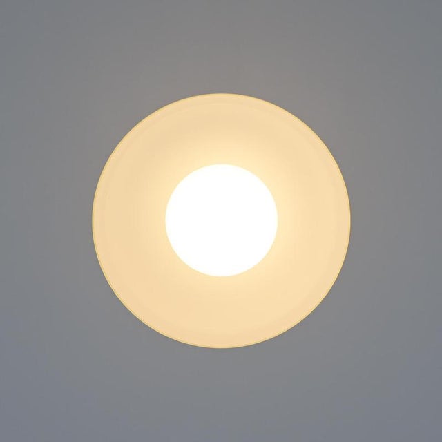 Murano Pendant Lamp by Alessandro Pianon for Vistosi, 1960s For Sale - Image 15 of 18