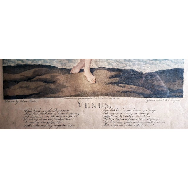 Adam Buck, Venus, Copper Engraving, 1799 For Sale - Image 3 of 5