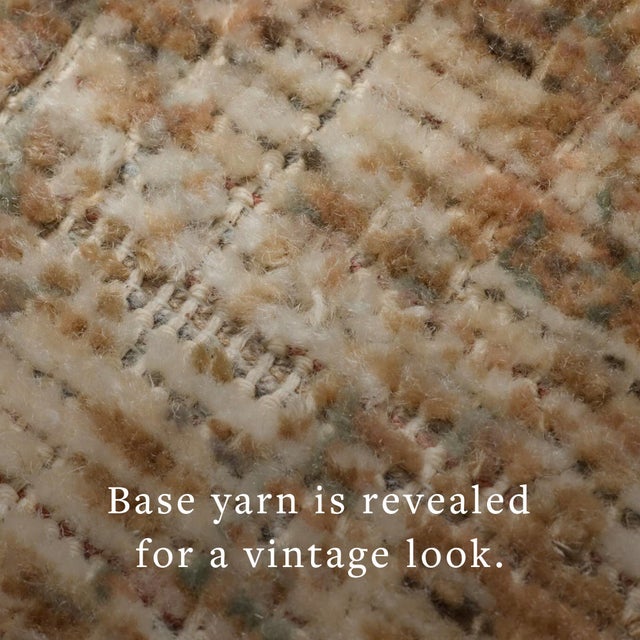 Textile Amber Lewis x Loloi Molly Antique / Multi 8'-6" x 12' Area Rug For Sale - Image 7 of 7