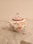 Antique French Porcelain Tea andCoffee Set Minton 252 Pattern by Sarreguemines, 1900, Set of 4 For Sale - Image 4 of 16