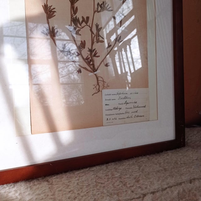 Swedish Herbarium Set, 1946, Set of 3 For Sale - Image 4 of 8