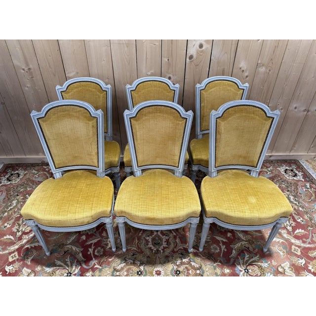 Set of six Louis XVI style chairs in painted wood with sprung seats and mustard velvet backs. Seat height 48 cm Excellent...