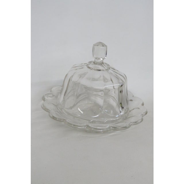 Mid 20th Century Clear Pressed Glass Covered Butter Cheese Serving Dish Petal Scalloped Rim For Sale - Image 15 of 16