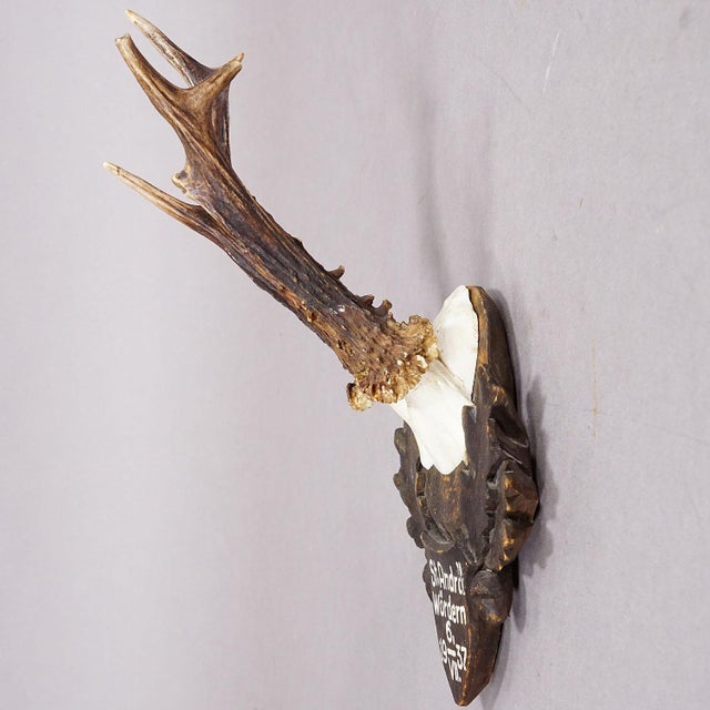 Rustic European Great Deer Trophy Mount on Wooden Carved Plaque 1937 For Sale - Image 3 of 6