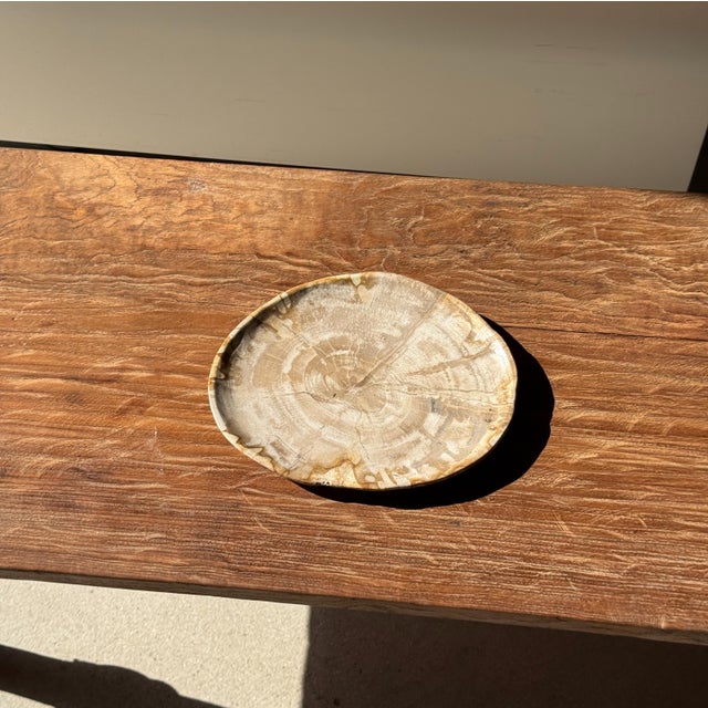 Small Oval Beige Petrified Wood Trinket Dish or Tray with Speckled Rings For Sale - Image 6 of 18