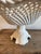 One of those pieces that instantly makes a kitchen or shelf feel more collected. I love this styled with citrus on a...