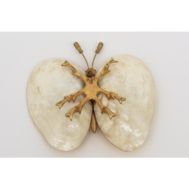 Gold Coastal Shell and Gold Plated Butterfly Bowl or Ring Dish For Sale - Image 8 of 9