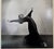 Barbara Morgan Signed Original Silver Gelatin Photograph “Louise Kloepper Statement of Dissent 1938” With Provenance Mounted on Board For Sale - Image 12 of 12