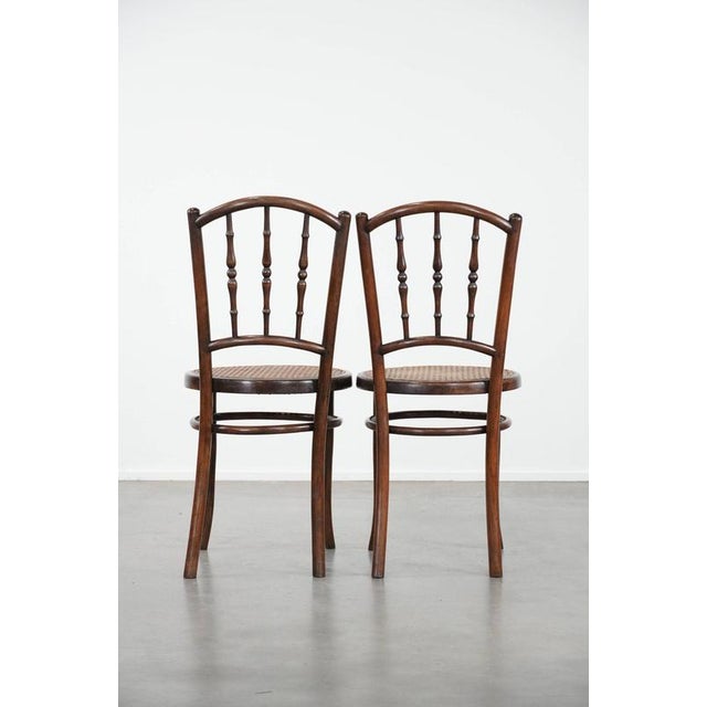 Vintage Wooden Bistro Chairs by Jacob & Josef Kohn Wien, Set of 6 For Sale - Image 4 of 18