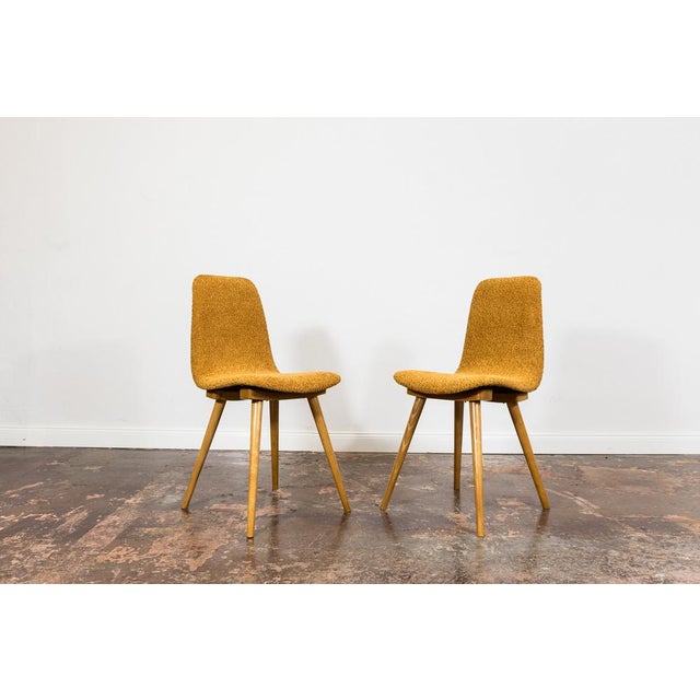 Textile Chairs Model A 6150 from Zakłady Mebli Giętych, 1960s, Set of 6 For Sale - Image 7 of 15