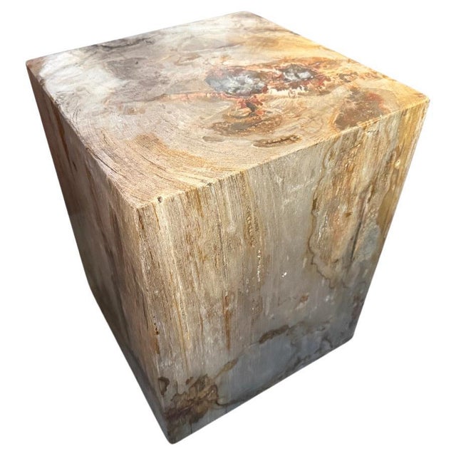 Andrianna Shamaris Petrified Wood Side Table with Cracked Resin For Sale - Image 15 of 18