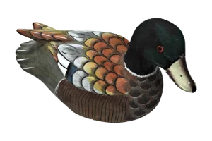 Indonesian Decoy Duck