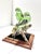A delightful mid-century porcelain sculpture depicting two colorful parakeets perched on a flowering branch. The birds are...
